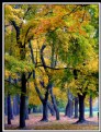 Picture Title - Canadian  Autumn