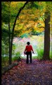 Picture Title - Autumnal Lady in Red