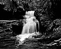 Picture Title - Coldbrook Falls