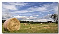 Picture Title - Provence Landscape