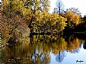 Picture Title - Reflection in the lake.