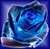 So blue the rose