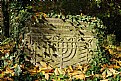 Picture Title - Jewish Old Cemetery #1