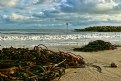 Picture Title - November Day ~ Lyme Regis