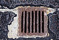 Picture Title - Oh Just Grate