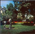 Picture Title - A horse and a man in the city gardens