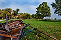Picture Title - Palic boat