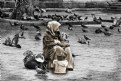 Picture Title - Lady of the Birds.