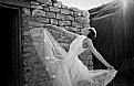 Picture Title - Fashion Bride