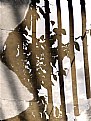 Picture Title - Asemoon