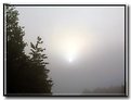 Picture Title - Sunrise Through the Fog...