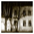 Picture Title - English night #  trees and their house