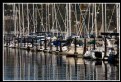 Picture Title - Sausalito harbor and tiburon