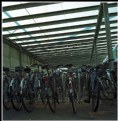 Picture Title - Bikes in the hangar