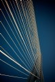 Picture Title - Hanging bridge