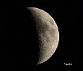 Picture Title - Moony
