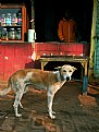 Picture Title - Tea stall