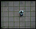 Picture Title - Squares all around