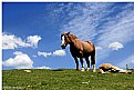 Picture Title - Midi-pyrenees vistas