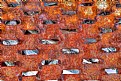 Picture Title - Rust Abstract No.11