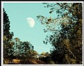 Picture Title - **La Luna**