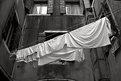 Picture Title - washing in Venice