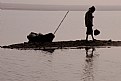 Picture Title - To Home