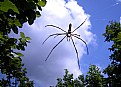 Picture Title - sky walk