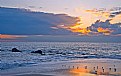 Picture Title - Birds at Beach