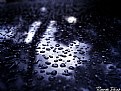 Picture Title - My Rain !!!