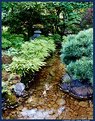 Picture Title - Japanese Garden III