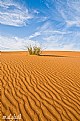 Picture Title - Desert