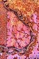Picture Title - Rust & Paint Abstract