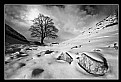 Picture Title - Sycamore Gap.