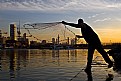 Picture Title - Fishing In Kuwait