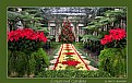 Picture Title - Longwood Gardens (d4166)