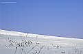 Picture Title - snowy slope