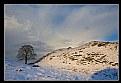 Picture Title - Sycamore Gap.