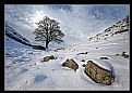 Picture Title - Sycamore Gap.