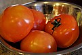 Picture Title - Fresh Tomatoes