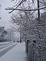 Picture Title - Snowy road