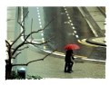 Picture Title - under the rain