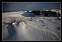 Picture Title - Snowy Steelrigg
