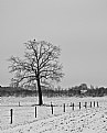 Picture Title - Winter