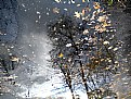 Picture Title - Winter Mirrors Fall