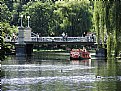 Picture Title - Boston Public Garden, Boston