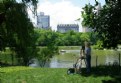 Picture Title - Central Park Artist