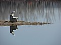 Picture Title - Reflection on the lake