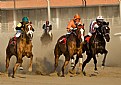 Picture Title - Horse Racing