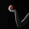 Picture Title - Forbidden fruit series